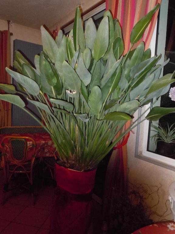 La Croix Blanche Otel Montrichard Dış mekan fotoğraf
